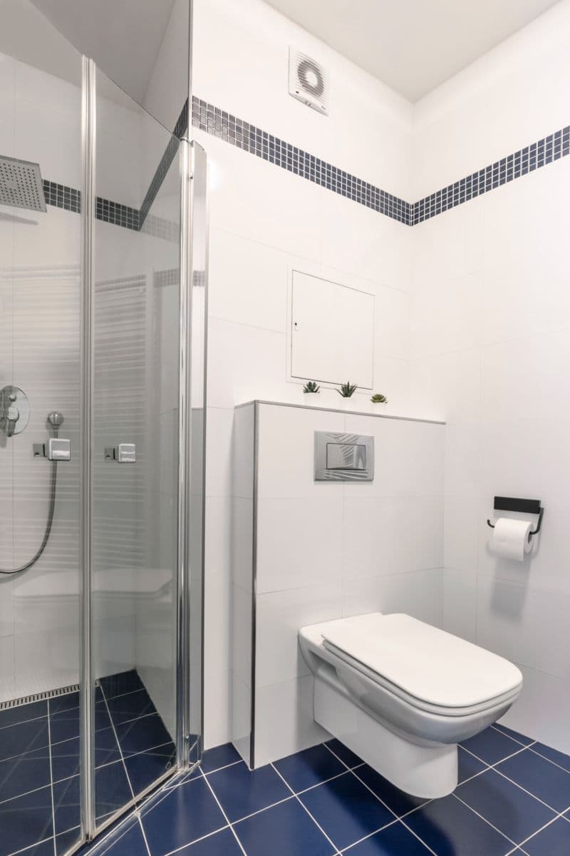 Pronájem bytu 1+kk 43 m², Vyšehradská, Praha, Praha Pronájem bytu 1+kk 43 m², Vyšehradská, Praha, Praha