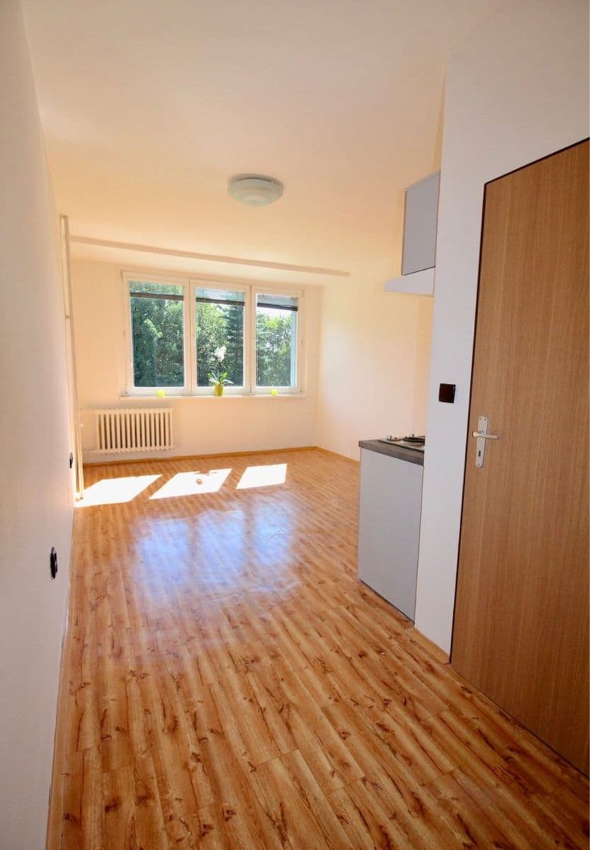 Pronájem bytu 1+kk 22 m², Plzeňská, Ostrava, Moravskoslezský kraj Pronájem bytu 1+kk 22 m², Plzeňská, Ostrava, Moravskoslezský kraj