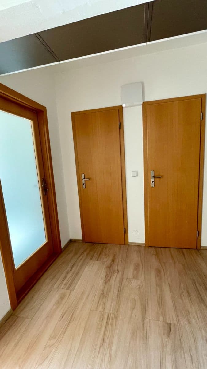 Pronájem bytu 2+kk 53 m², Brno, Jihomoravský kraj Pronájem bytu 2+kk 53 m², Brno, Jihomoravský kraj