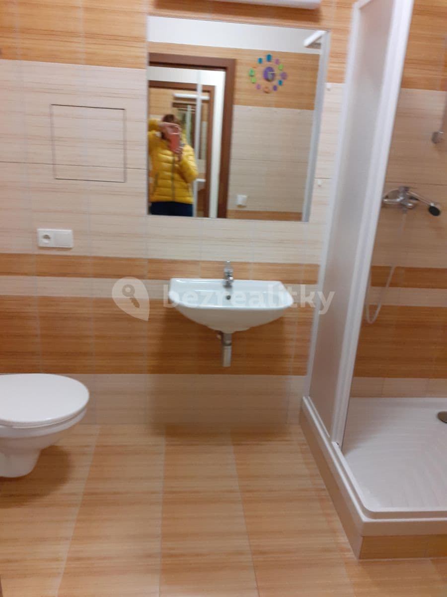 Pronájem bytu 1+kk 50 m², Stromovka, Havlíčkův Brod, Kraj Vysočina Pronájem bytu 1+kk 50 m², Stromovka, Havlíčkův Brod, Kraj Vysočina