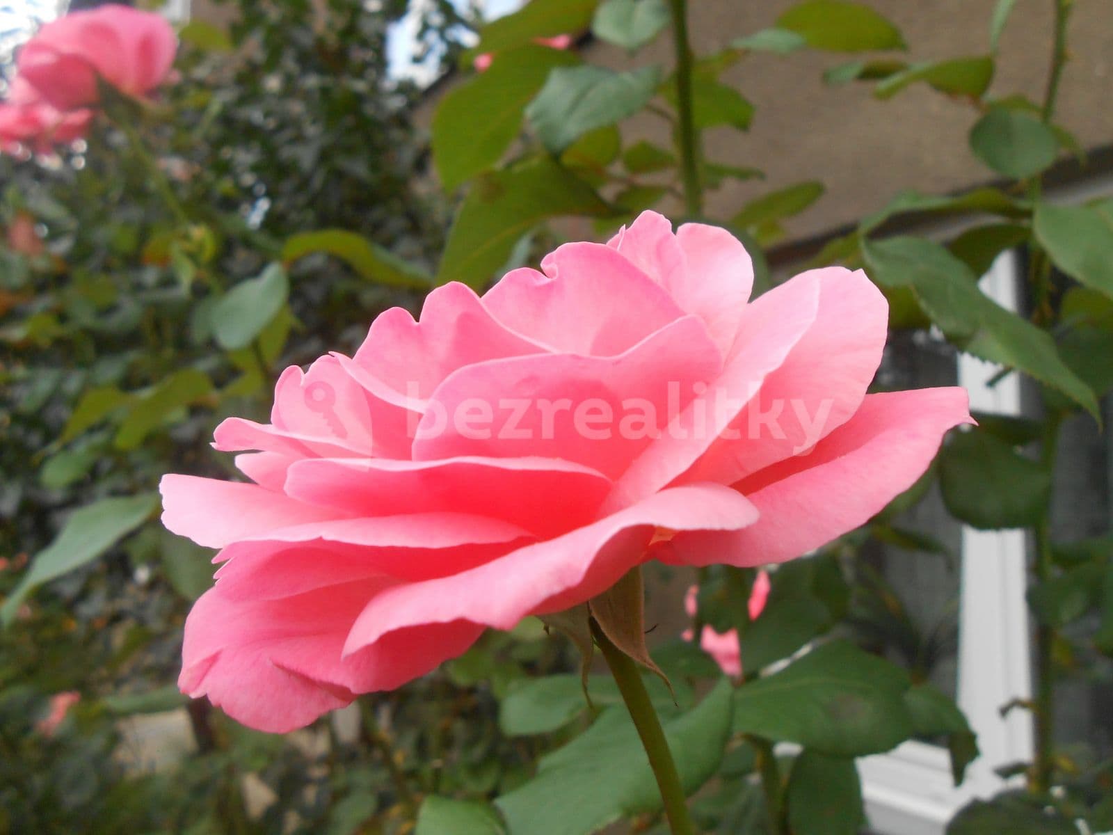 Pronájem bytu 3+1 69 m², Arménská, Praha, Praha Pronájem bytu 3+1 69 m², Arménská, Praha, Praha