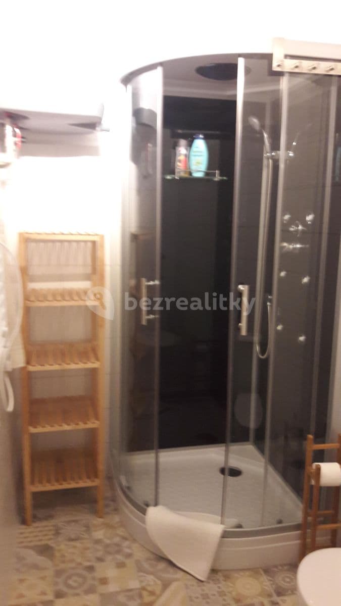 Pronájem bytu 1+kk 40 m², Vodičkova, Praha, Praha Pronájem bytu 1+kk 40 m², Vodičkova, Praha, Praha