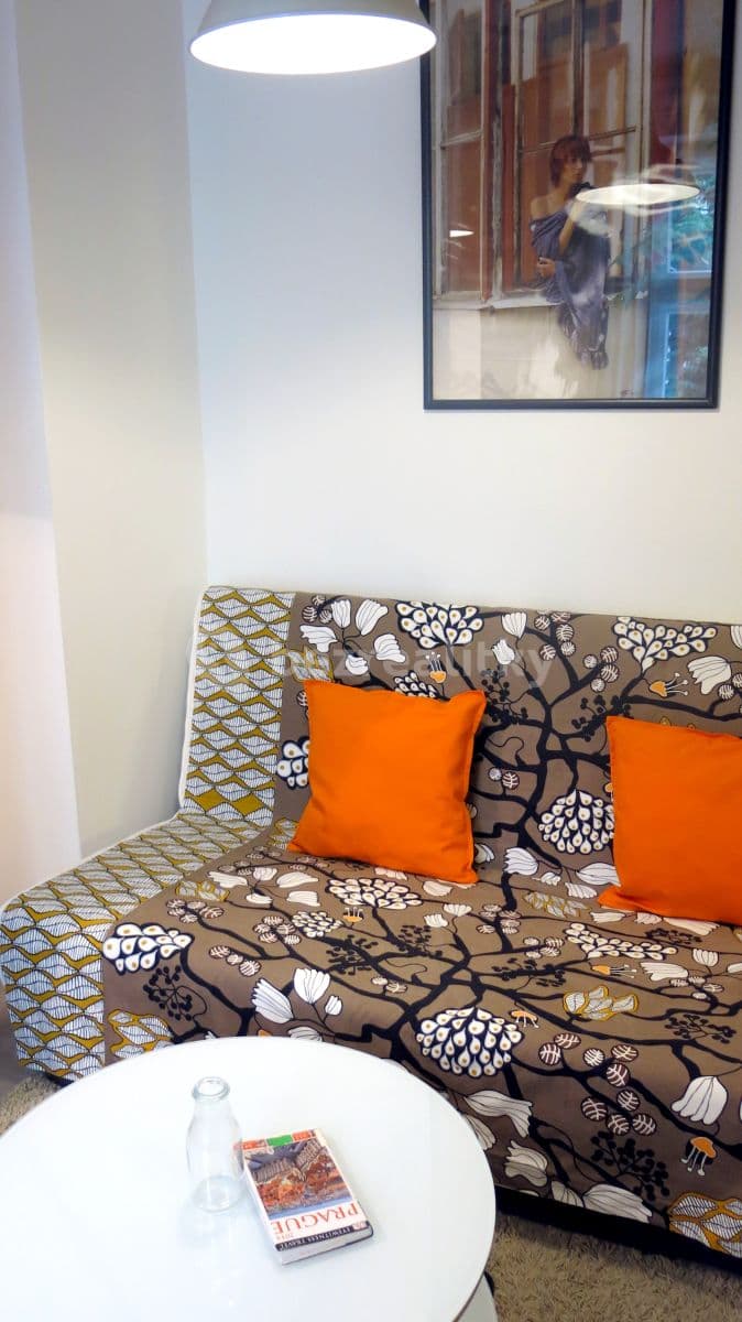 Pronájem bytu 1+kk 40 m², Vodičkova, Praha, Praha Pronájem bytu 1+kk 40 m², Vodičkova, Praha, Praha