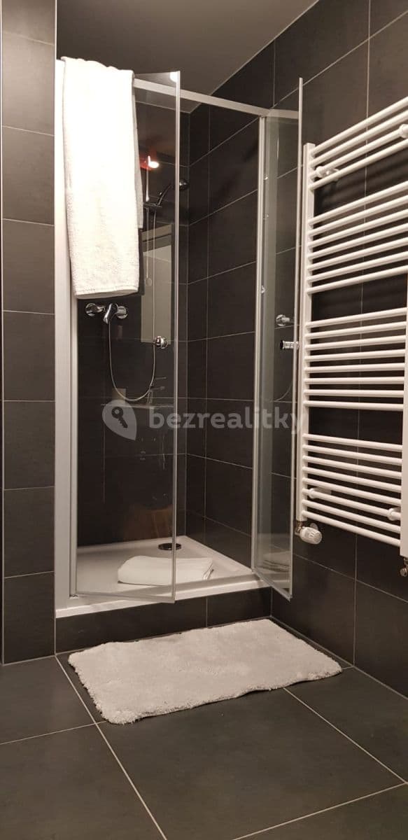 Pronájem bytu 1+kk 31 m², Zelnice II, Slavkov u Brna, Jihomoravský kraj Pronájem bytu 1+kk 31 m², Zelnice II, Slavkov u Brna, Jihomoravský kraj