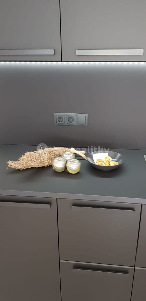 Pronájem bytu 1+kk 31 m², Zelnice II, Slavkov u Brna, Jihomoravský kraj Pronájem bytu 1+kk 31 m², Zelnice II, Slavkov u Brna, Jihomoravský kraj