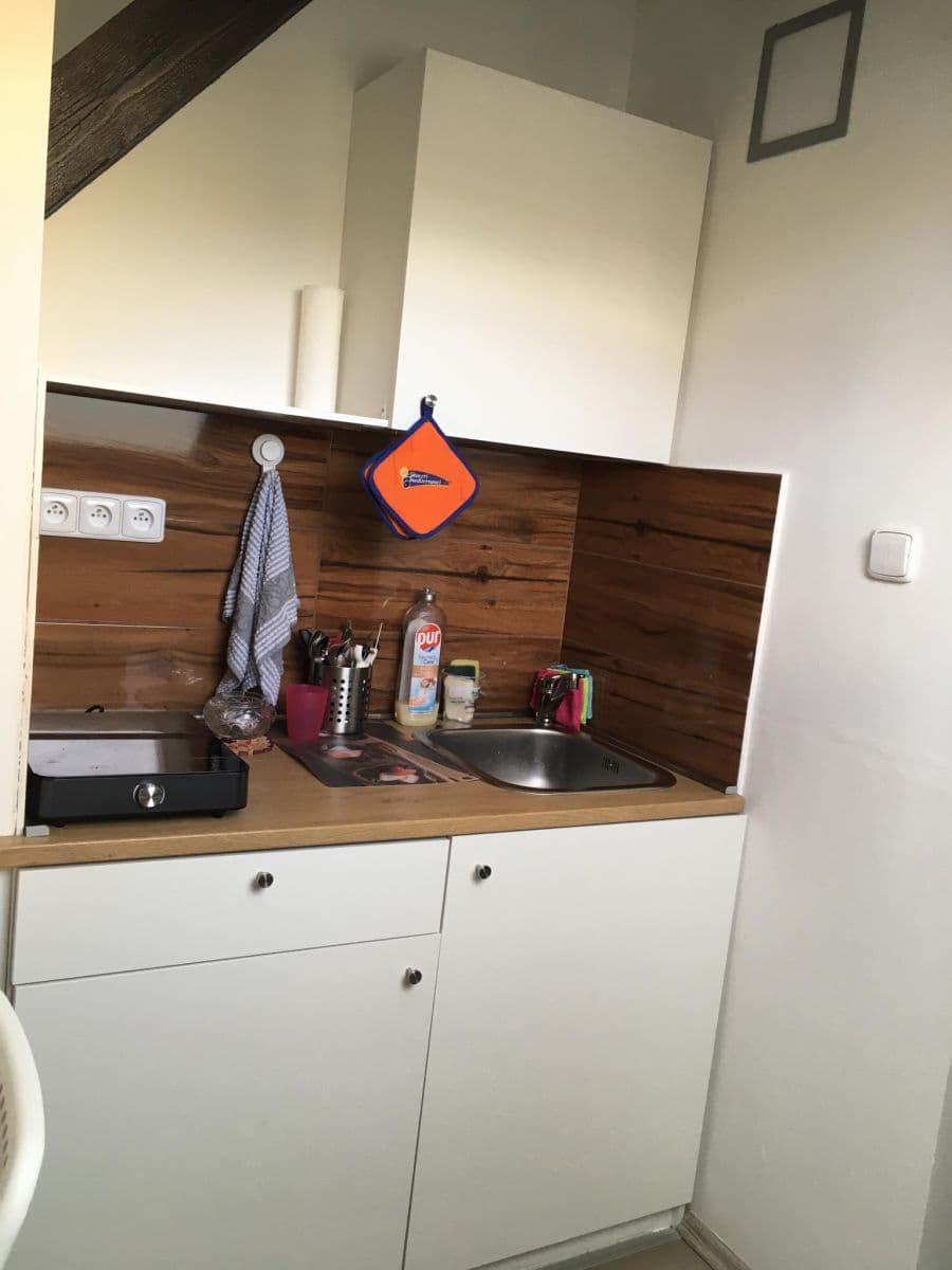 Pronájem bytu 1+kk 30 m², Nad Vodovodem, Praha, Praha Pronájem bytu 1+kk 30 m², Nad Vodovodem, Praha, Praha