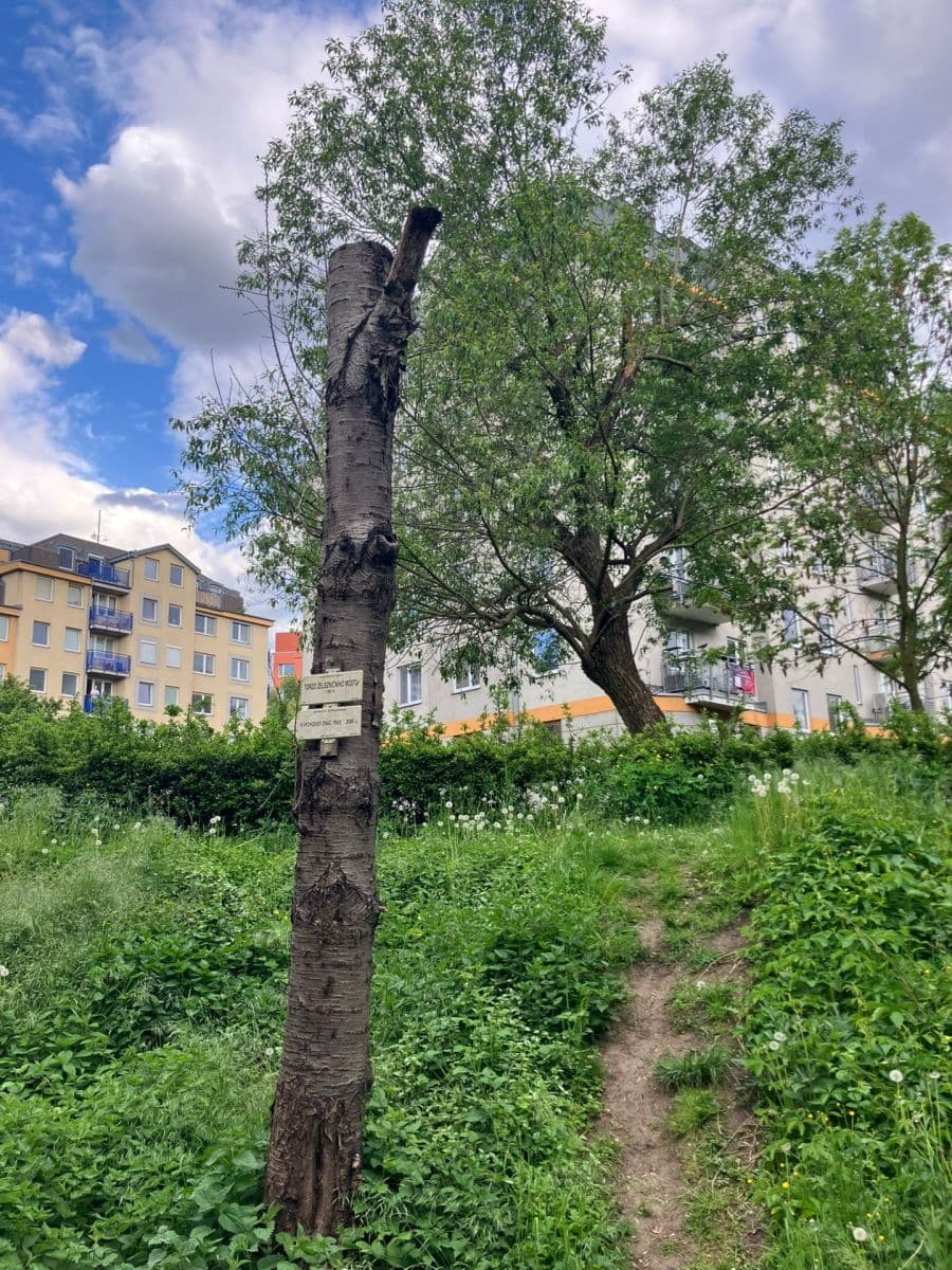 Pronájem bytu 2+kk 55 m², Kovanecká, Praha, Praha Pronájem bytu 2+kk 55 m², Kovanecká, Praha, Praha