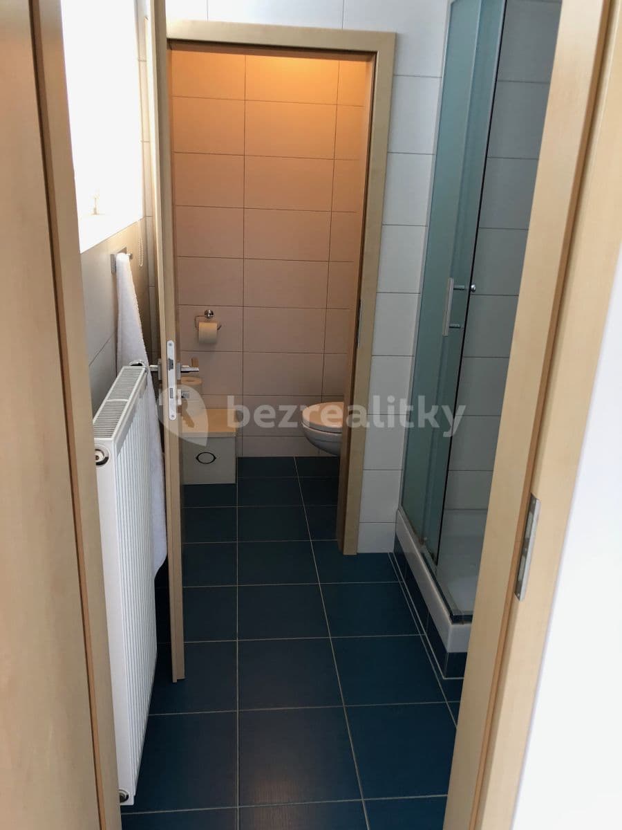 Pronájem bytu 1+kk 44 m², V Horkách, Praha, Praha Pronájem bytu 1+kk 44 m², V Horkách, Praha, Praha