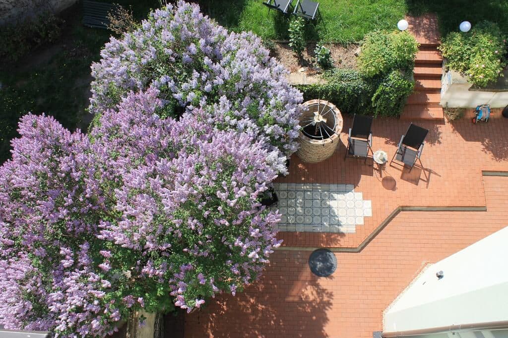 Pronájem bytu 1+kk 46 m², Šlikova, Praha, Praha Pronájem bytu 1+kk 46 m², Šlikova, Praha, Praha