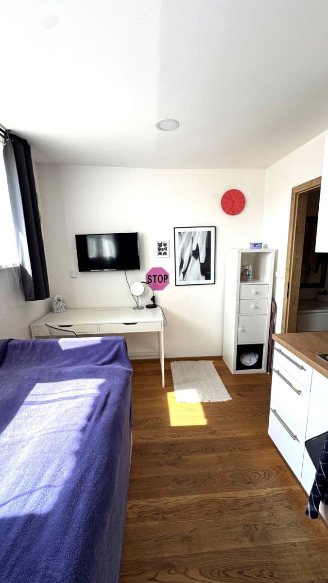Pronájem bytu Garsoniéra 15 m², Moskevská, Praha, Praha Pronájem bytu Garsoniéra 15 m², Moskevská, Praha, Praha