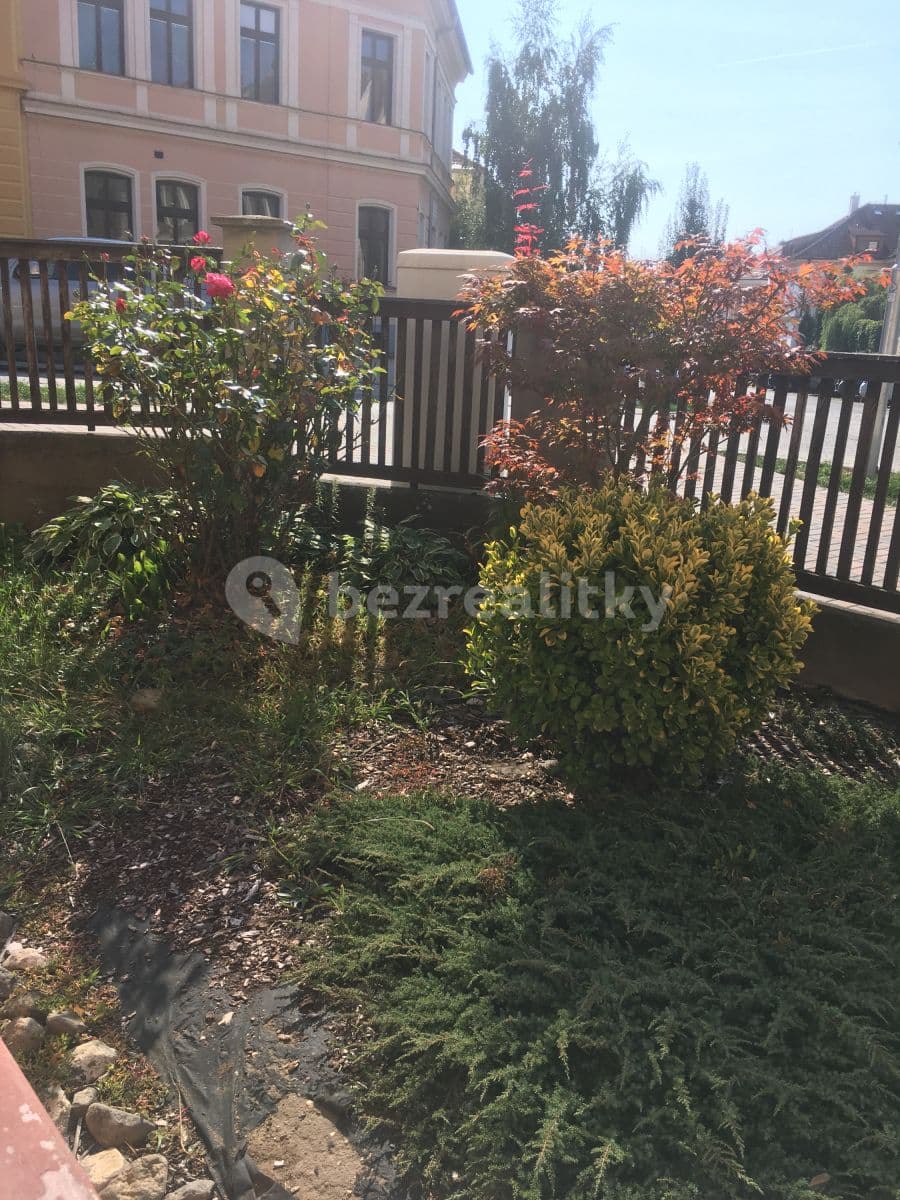 Pronájem bytu 1+1 43 m², Palachova, Litoměřice, Ústecký kraj Pronájem bytu 1+1 43 m², Palachova, Litoměřice, Ústecký kraj