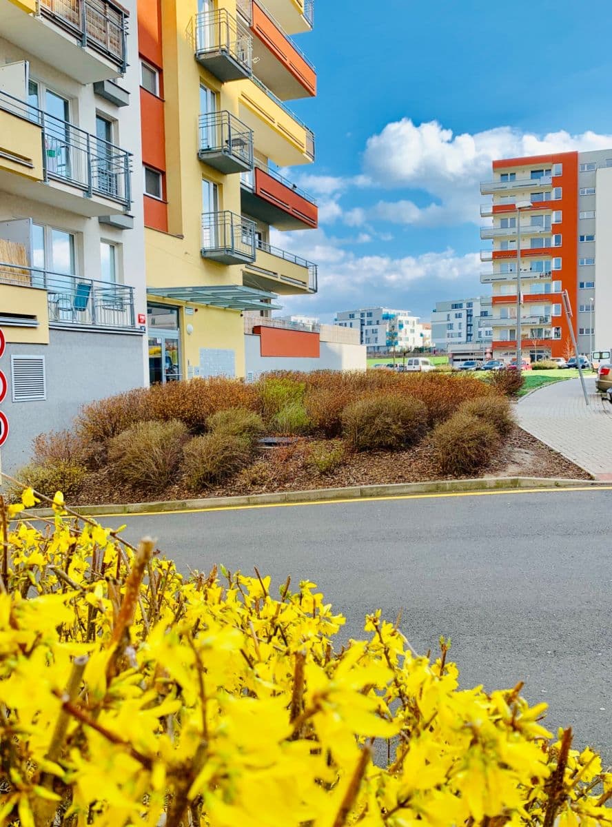 Pronájem bytu 3+kk 60 m², Miroslava Hajna, Praha, Praha Pronájem bytu 3+kk 60 m², Miroslava Hajna, Praha, Praha