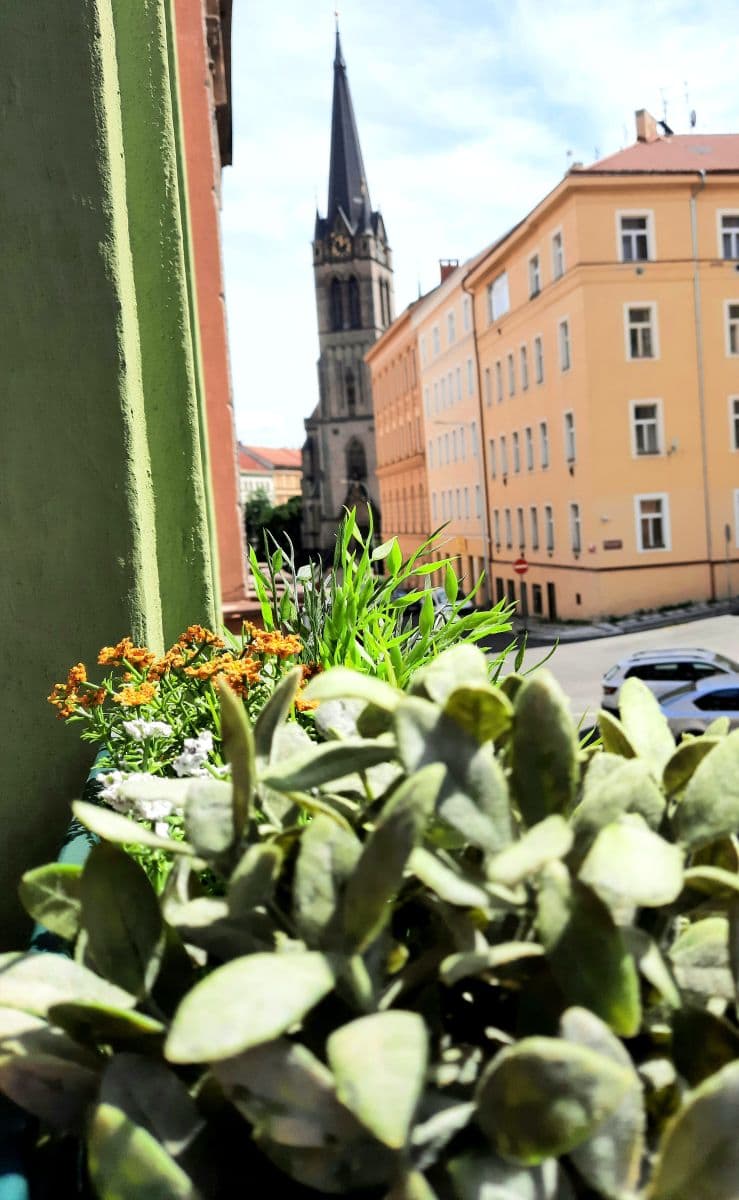 Pronájem bytu 1+kk 27 m², Vlkova, Praha, Praha Pronájem bytu 1+kk 27 m², Vlkova, Praha, Praha