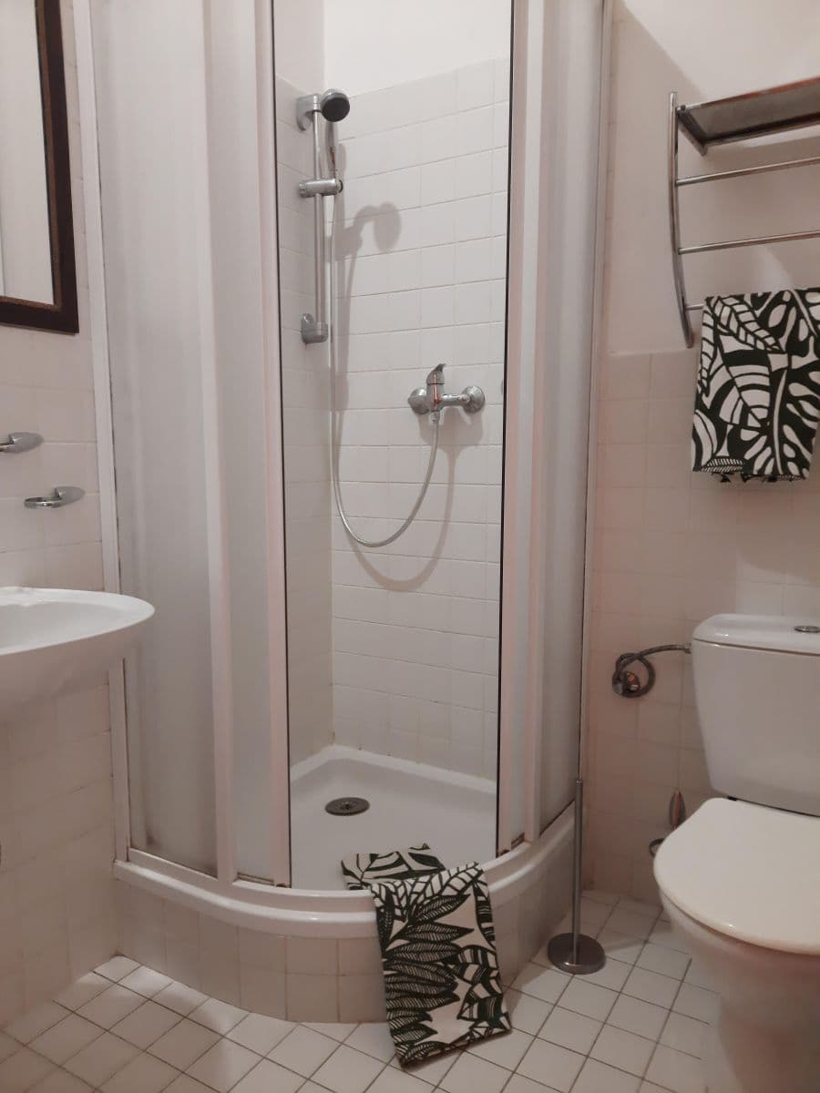 Pronájem bytu 1+kk 27 m², Vlkova, Praha, Praha Pronájem bytu 1+kk 27 m², Vlkova, Praha, Praha