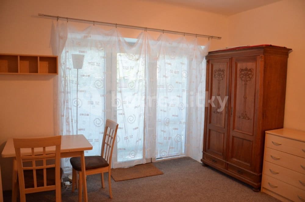 Pronájem bytu 1+kk 30 m², Praha, Praha Pronájem bytu 1+kk 30 m², Praha, Praha