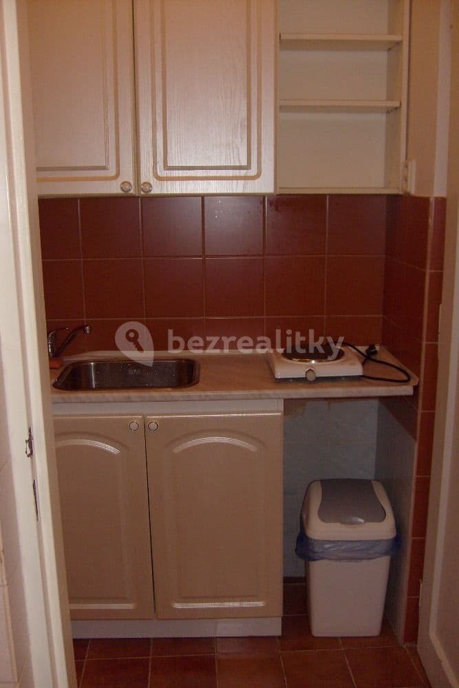Pronájem bytu 1+kk 30 m², Praha, Praha Pronájem bytu 1+kk 30 m², Praha, Praha