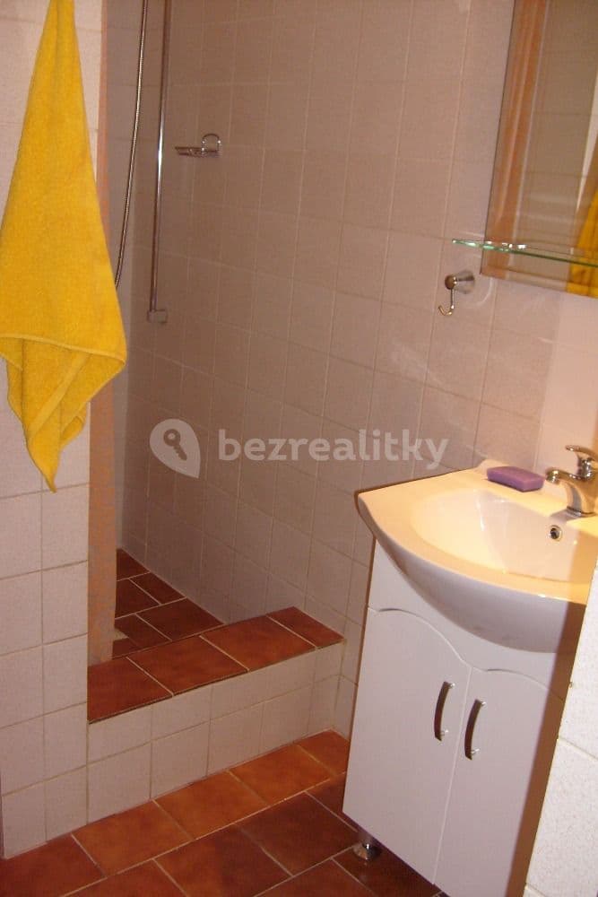 Pronájem bytu 1+kk 30 m², Praha, Praha Pronájem bytu 1+kk 30 m², Praha, Praha