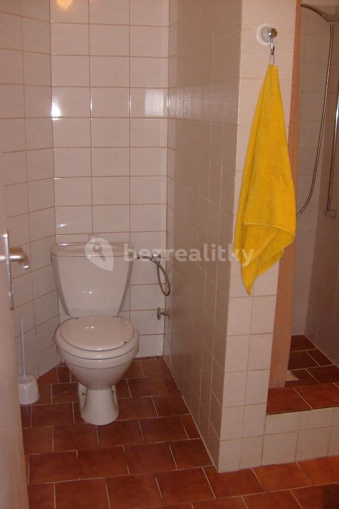 Pronájem bytu 1+kk 30 m², Praha, Praha Pronájem bytu 1+kk 30 m², Praha, Praha