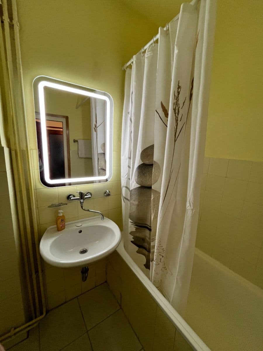 Pronájem bytu 1+1 46 m², Maškova, Brno, Jihomoravský kraj Pronájem bytu 1+1 46 m², Maškova, Brno, Jihomoravský kraj