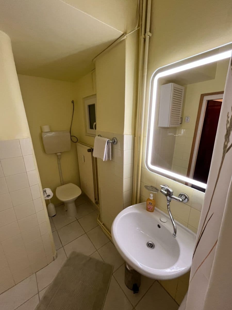 Pronájem bytu 1+1 46 m², Maškova, Brno, Jihomoravský kraj Pronájem bytu 1+1 46 m², Maškova, Brno, Jihomoravský kraj