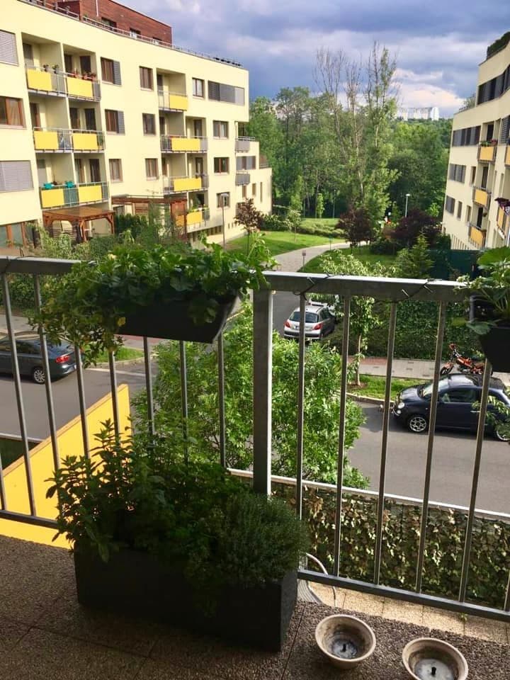 Pronájem bytu 1+1 50 m², Práčská, Praha, Praha Pronájem bytu 1+1 50 m², Práčská, Praha, Praha