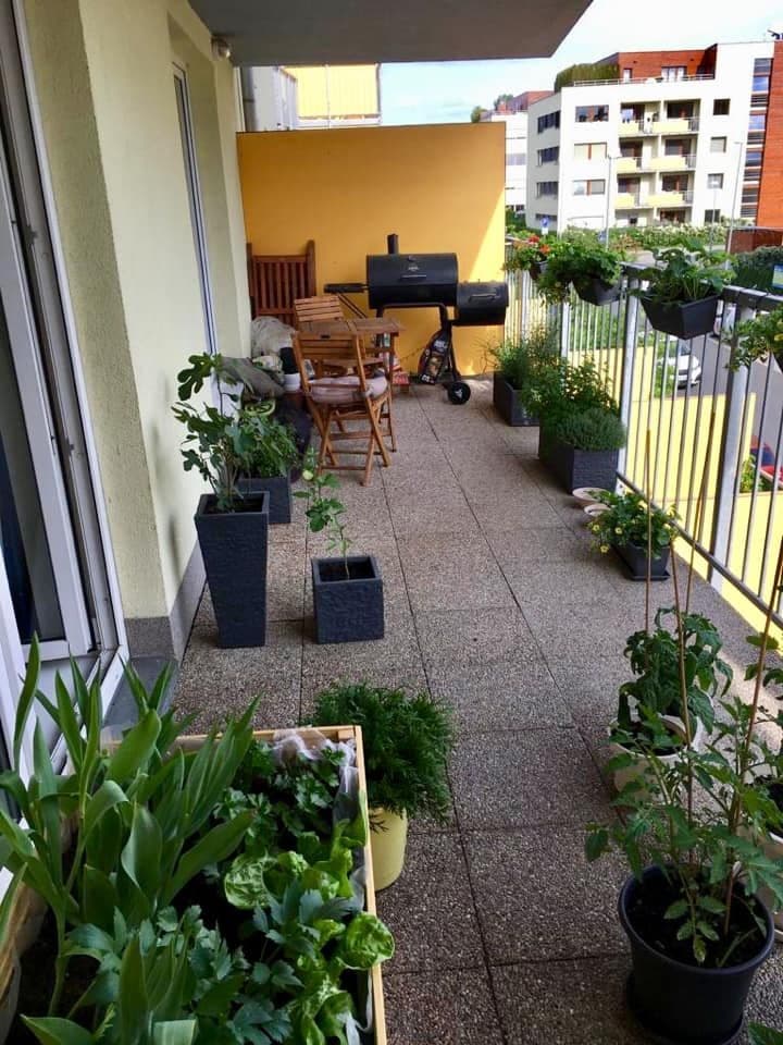 Pronájem bytu 1+1 50 m², Práčská, Praha, Praha Pronájem bytu 1+1 50 m², Práčská, Praha, Praha