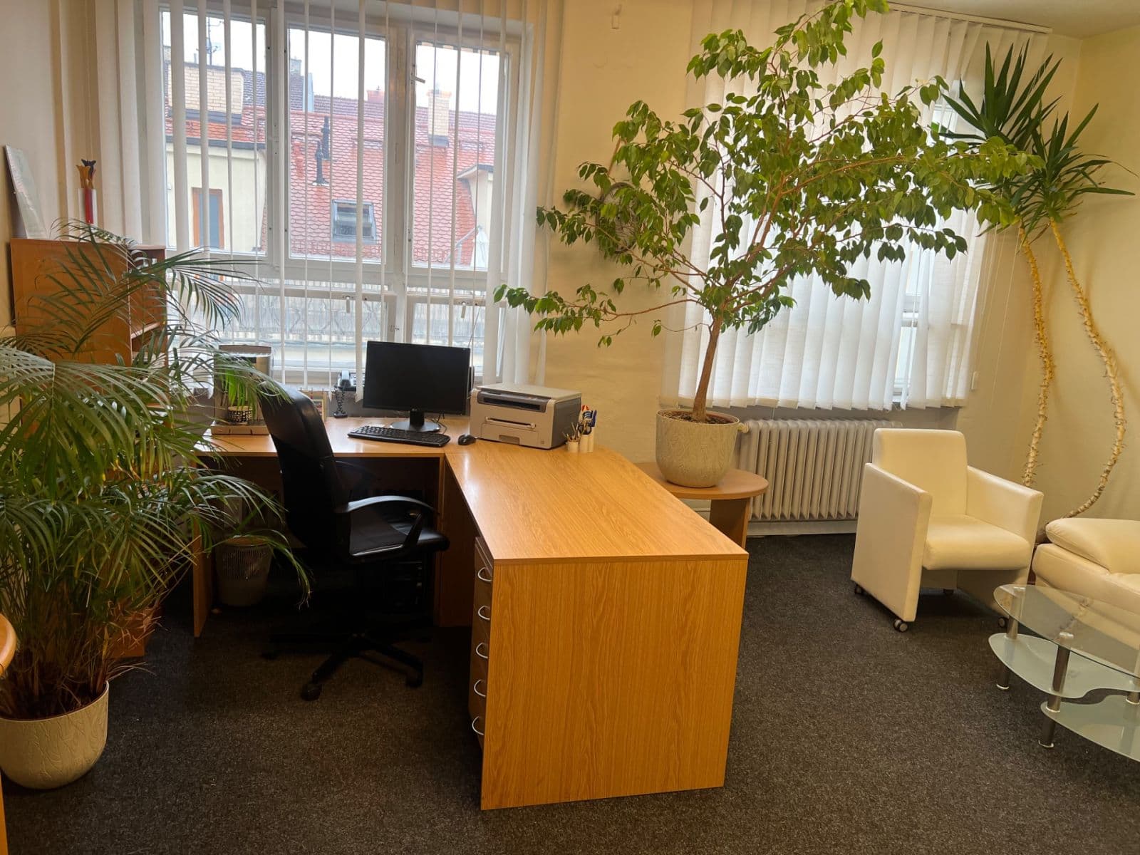 Pronájem kanceláře 25 m², Jiráskova, Brno, Jihomoravský kraj Pronájem kanceláře 25 m², Jiráskova, Brno, Jihomoravský kraj