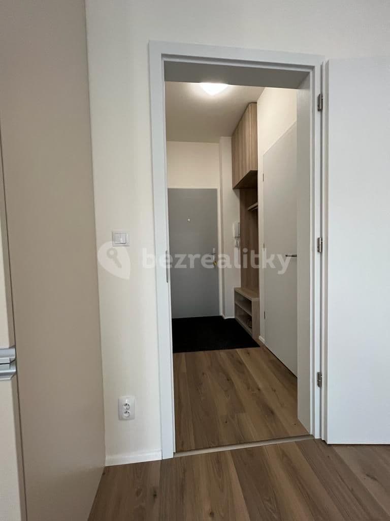 Pronájem bytu 1+kk 31 m², Spolková, Brno, Jihomoravský kraj Pronájem bytu 1+kk 31 m², Spolková, Brno, Jihomoravský kraj