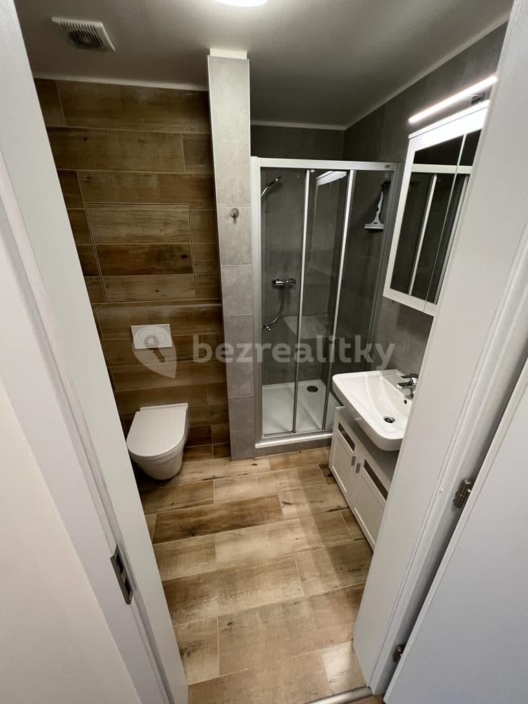 Pronájem bytu 1+kk 31 m², Spolková, Brno, Jihomoravský kraj Pronájem bytu 1+kk 31 m², Spolková, Brno, Jihomoravský kraj