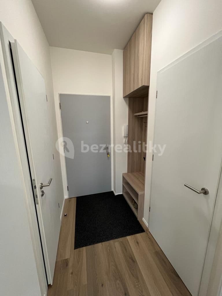 Pronájem bytu 1+kk 31 m², Spolková, Brno, Jihomoravský kraj Pronájem bytu 1+kk 31 m², Spolková, Brno, Jihomoravský kraj