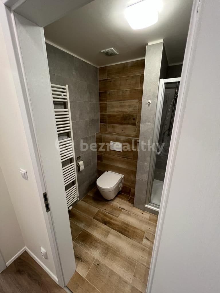 Pronájem bytu 1+kk 31 m², Spolková, Brno, Jihomoravský kraj Pronájem bytu 1+kk 31 m², Spolková, Brno, Jihomoravský kraj