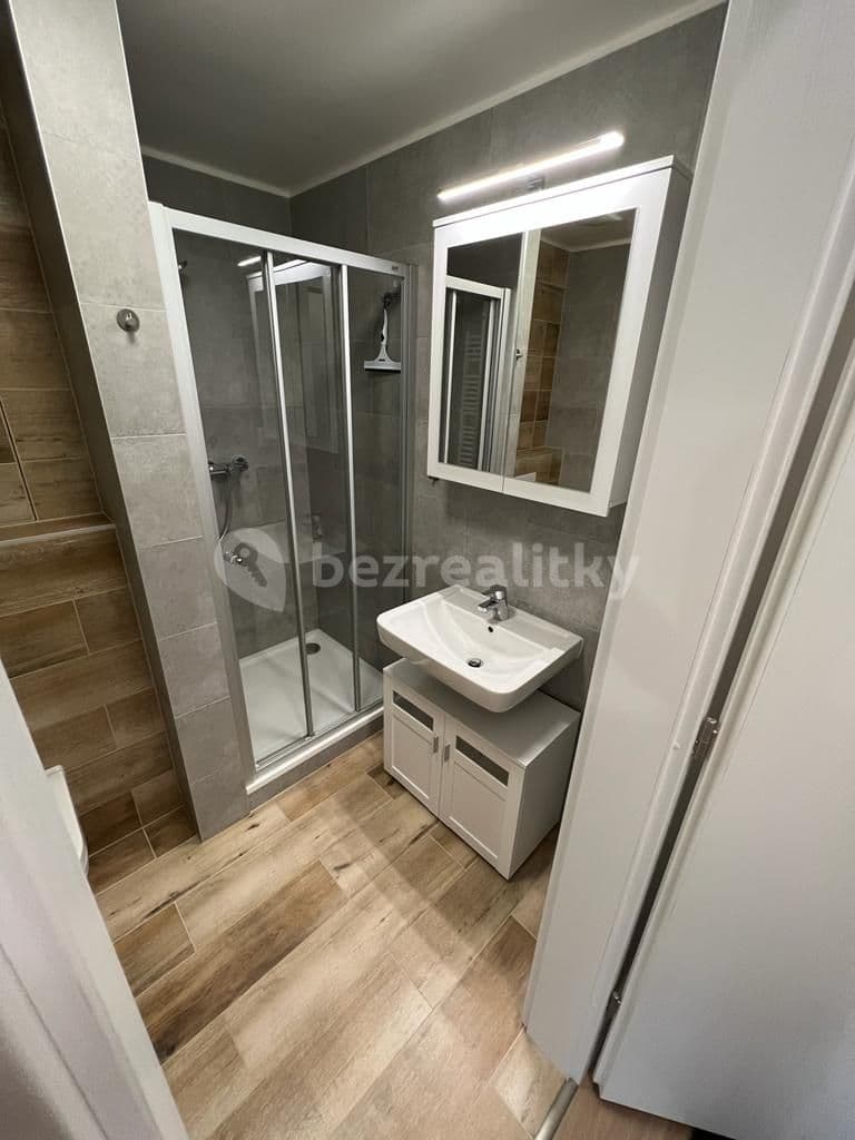 Pronájem bytu 1+kk 31 m², Spolková, Brno, Jihomoravský kraj Pronájem bytu 1+kk 31 m², Spolková, Brno, Jihomoravský kraj
