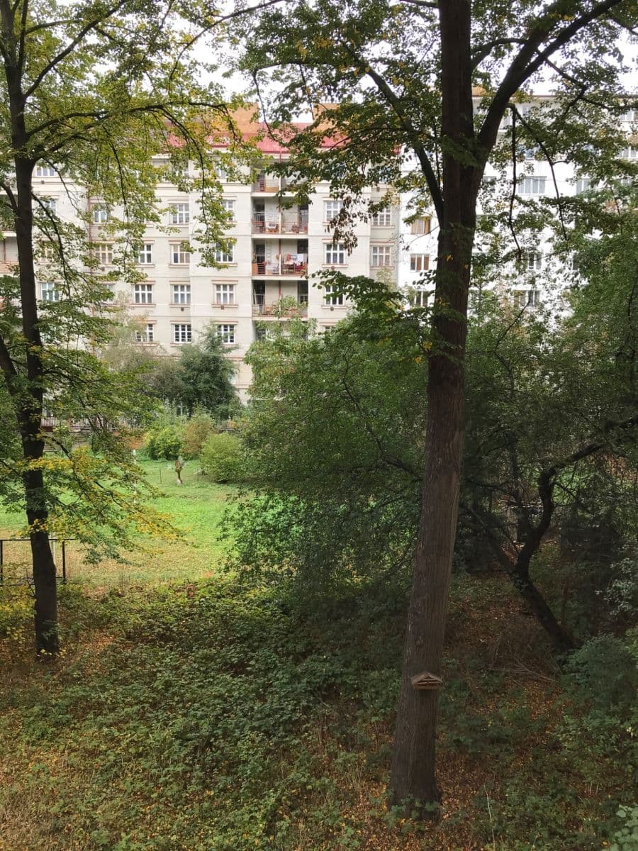 Pronájem bytu 2+kk 57 m², Jeseniova, Praha, Praha Pronájem bytu 2+kk 57 m², Jeseniova, Praha, Praha