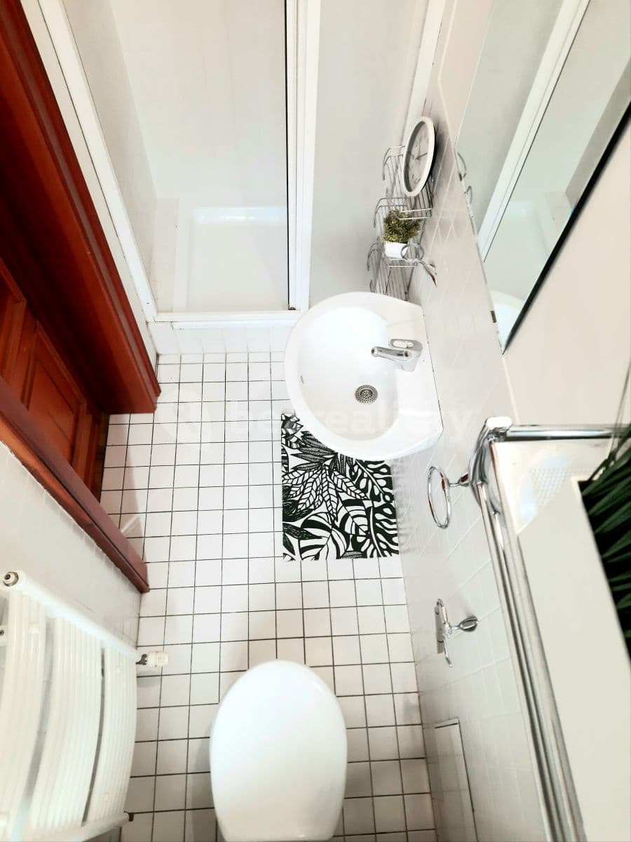 Pronájem bytu 1+kk 18 m², Vlkova, Praha, Praha Pronájem bytu 1+kk 18 m², Vlkova, Praha, Praha