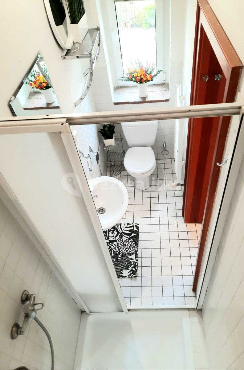Pronájem bytu 1+kk 18 m², Vlkova, Praha, Praha Pronájem bytu 1+kk 18 m², Vlkova, Praha, Praha