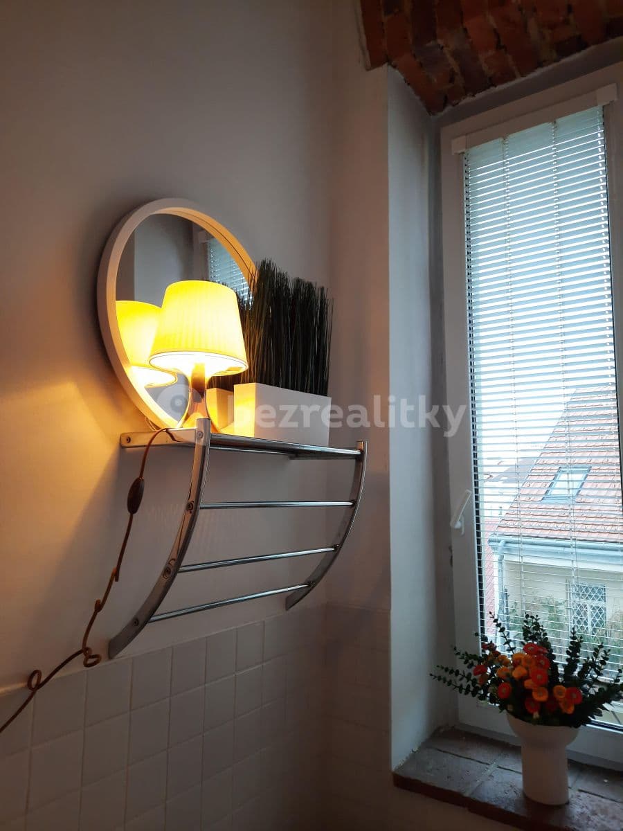 Pronájem bytu 1+kk 18 m², Vlkova, Praha, Praha Pronájem bytu 1+kk 18 m², Vlkova, Praha, Praha