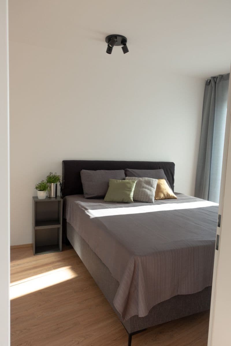 Pronájem bytu 2+kk 50 m², Křenová, Brno, Jihomoravský kraj Pronájem bytu 2+kk 50 m², Křenová, Brno, Jihomoravský kraj