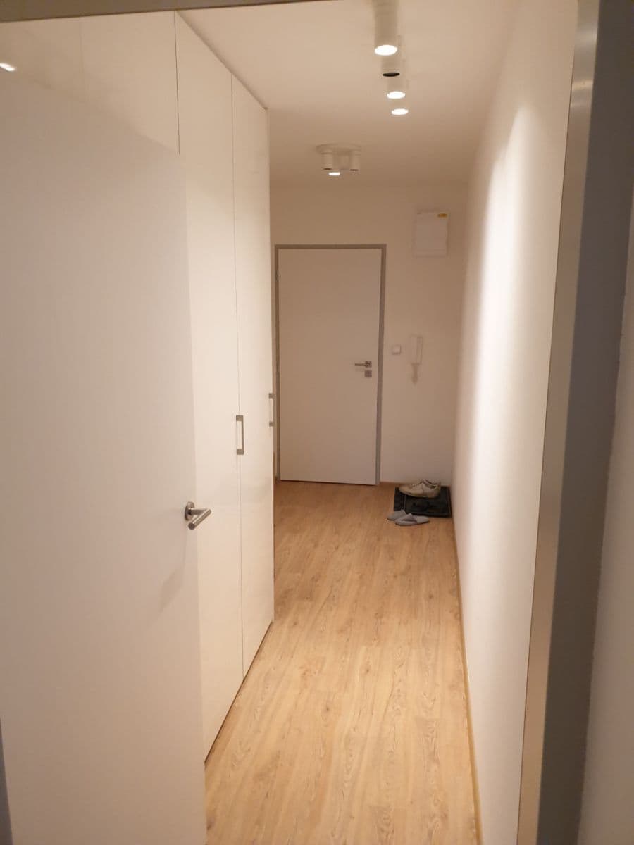 Pronájem bytu 2+kk 50 m², Křenová, Brno, Jihomoravský kraj Pronájem bytu 2+kk 50 m², Křenová, Brno, Jihomoravský kraj