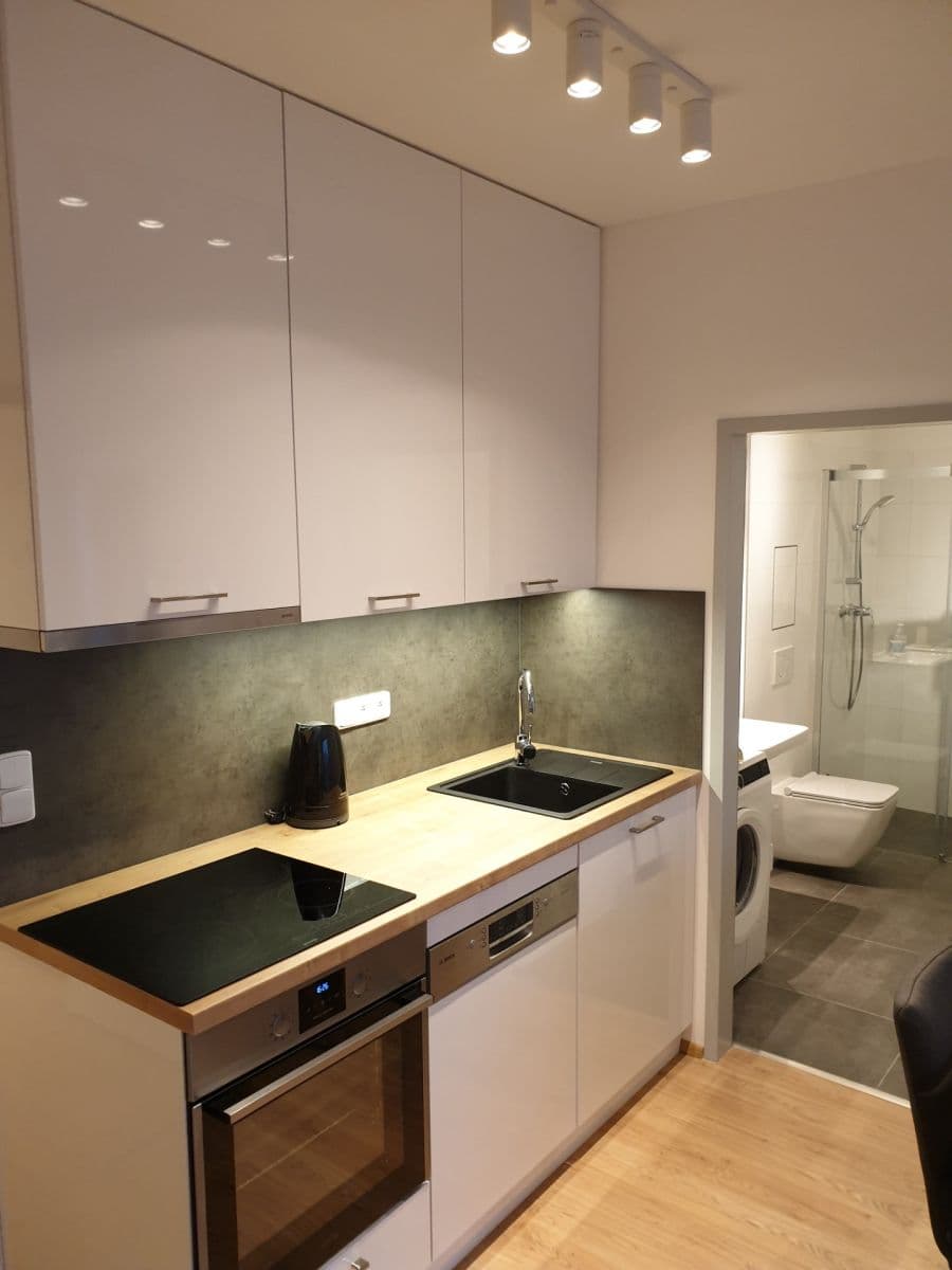 Pronájem bytu 2+kk 50 m², Křenová, Brno, Jihomoravský kraj Pronájem bytu 2+kk 50 m², Křenová, Brno, Jihomoravský kraj