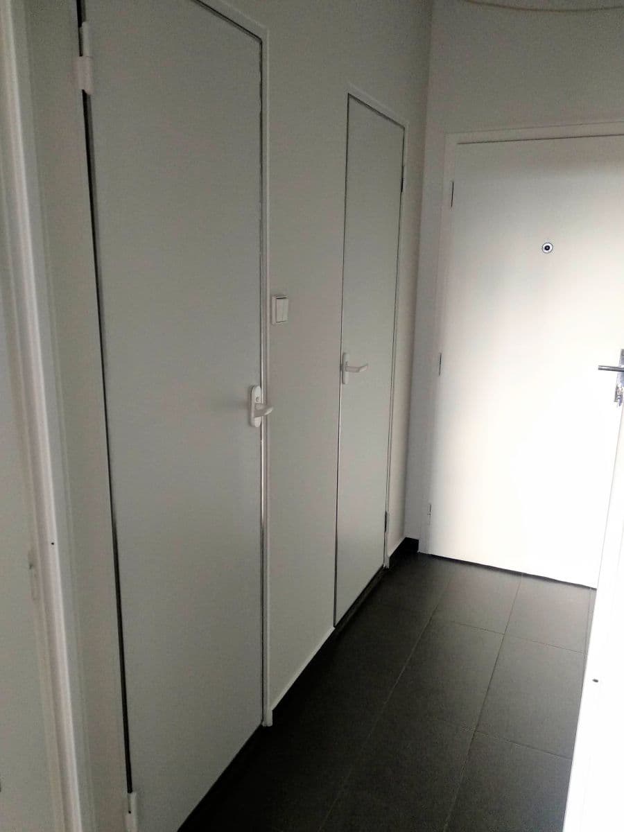 Pronájem bytu 1+kk 30 m², Levského, Praha, Praha Pronájem bytu 1+kk 30 m², Levského, Praha, Praha