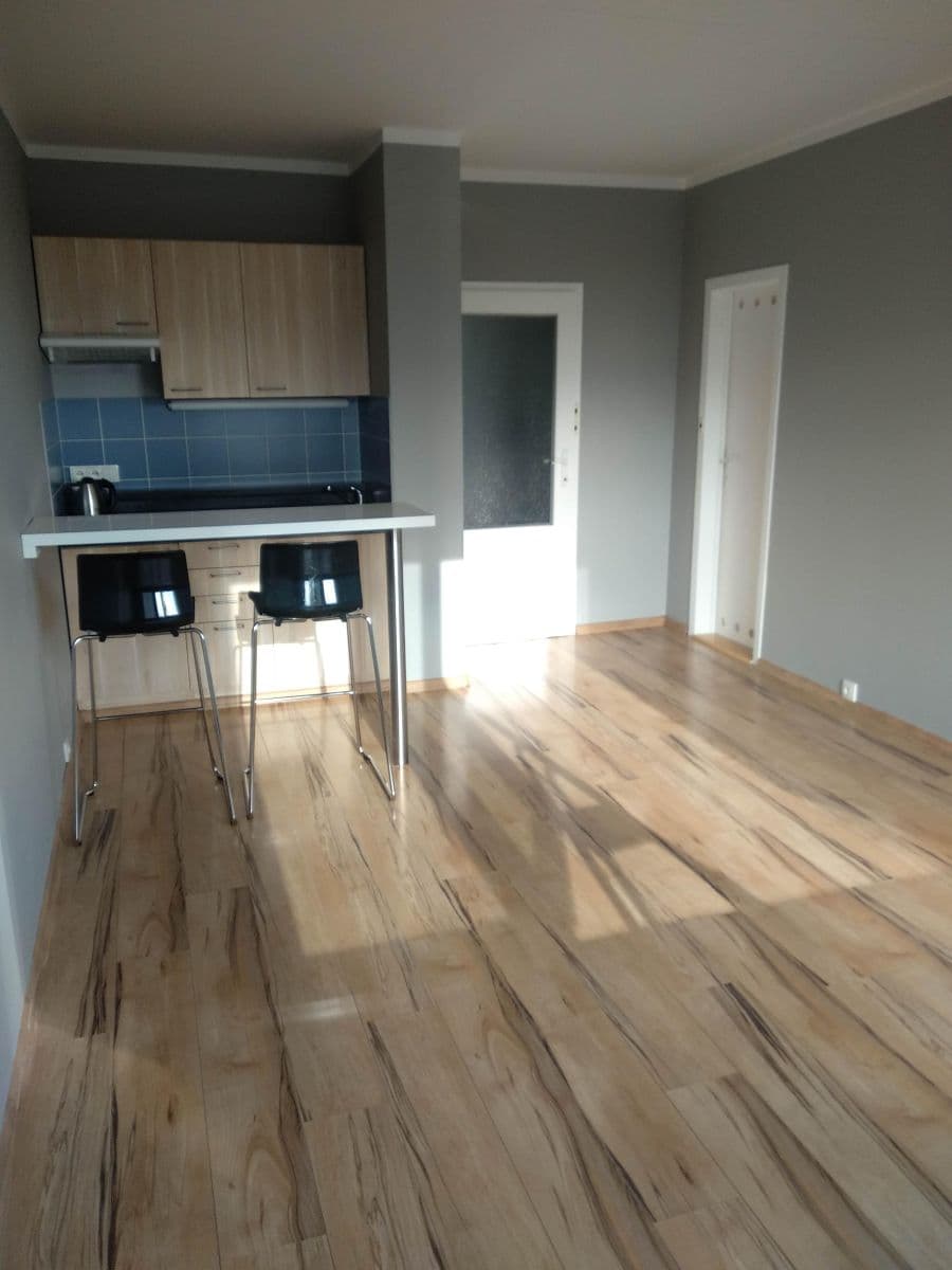 Pronájem bytu 1+kk 30 m², Levského, Praha, Praha Pronájem bytu 1+kk 30 m², Levského, Praha, Praha