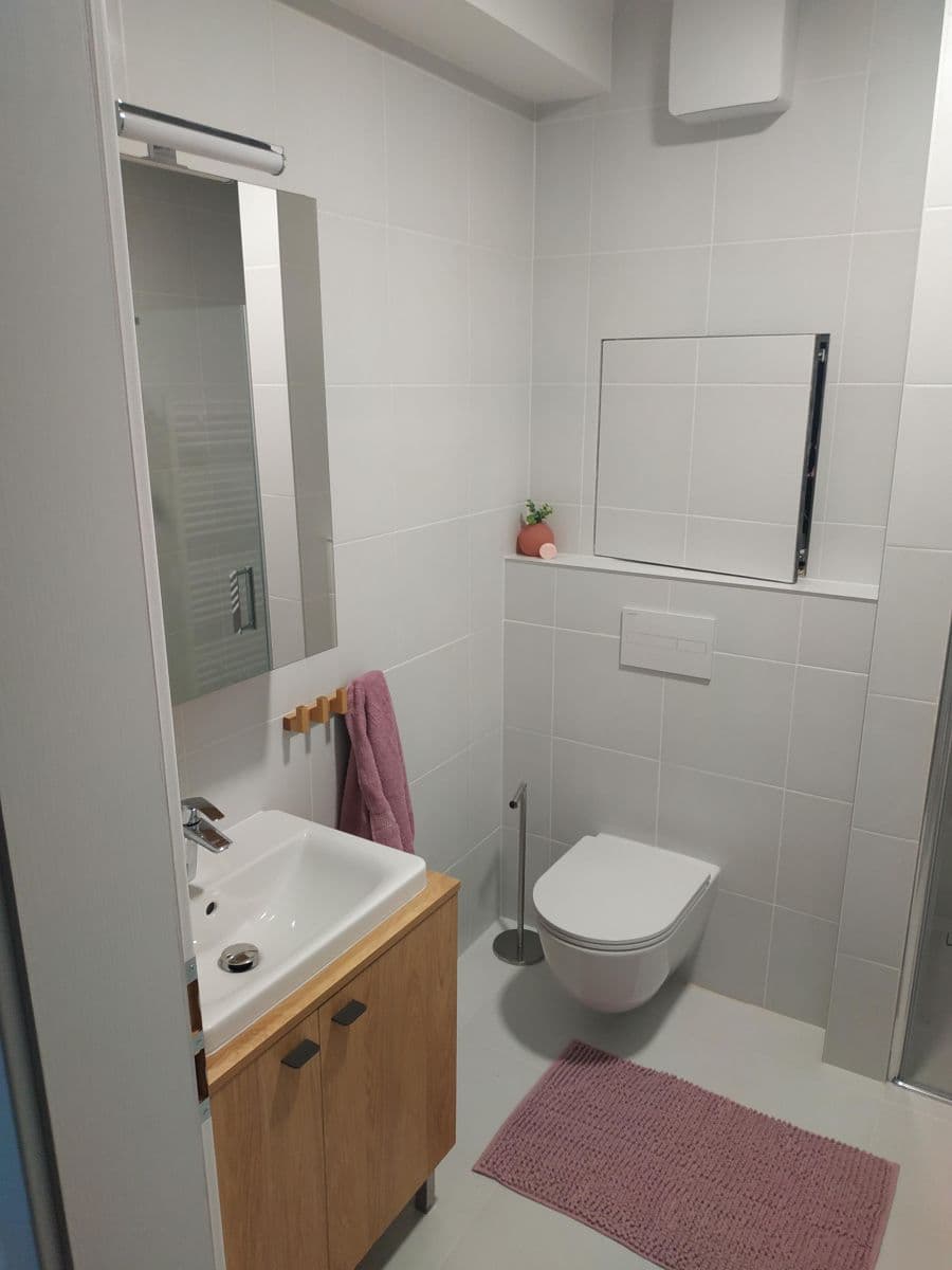 Pronájem bytu 1+kk 30 m², Šantova, Olomouc, Olomoucký kraj Pronájem bytu 1+kk 30 m², Šantova, Olomouc, Olomoucký kraj
