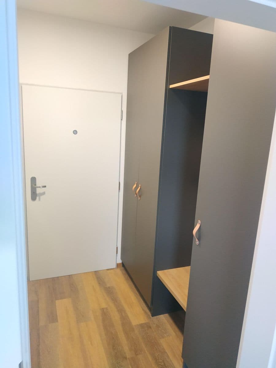Pronájem bytu 1+kk 30 m², Šantova, Olomouc, Olomoucký kraj Pronájem bytu 1+kk 30 m², Šantova, Olomouc, Olomoucký kraj