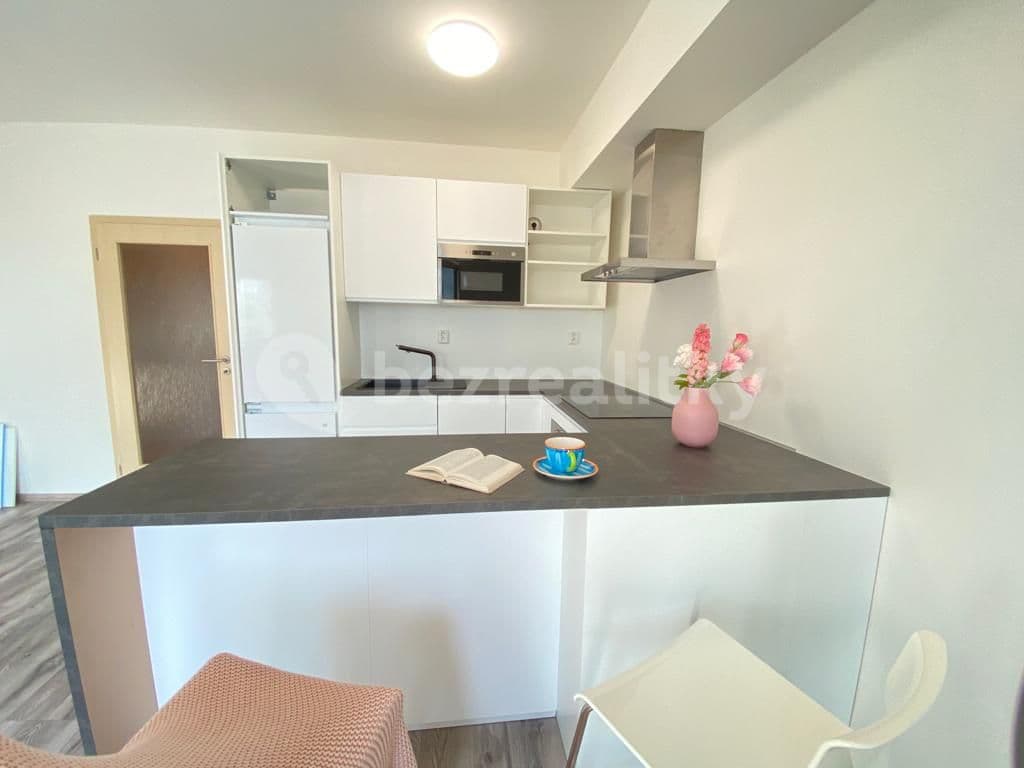 Pronájem bytu 1+kk 35 m², Bratislavská, Praha, Praha Pronájem bytu 1+kk 35 m², Bratislavská, Praha, Praha