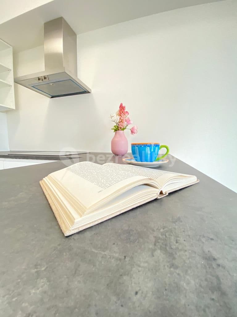 Pronájem bytu 1+kk 35 m², Bratislavská, Praha, Praha Pronájem bytu 1+kk 35 m², Bratislavská, Praha, Praha