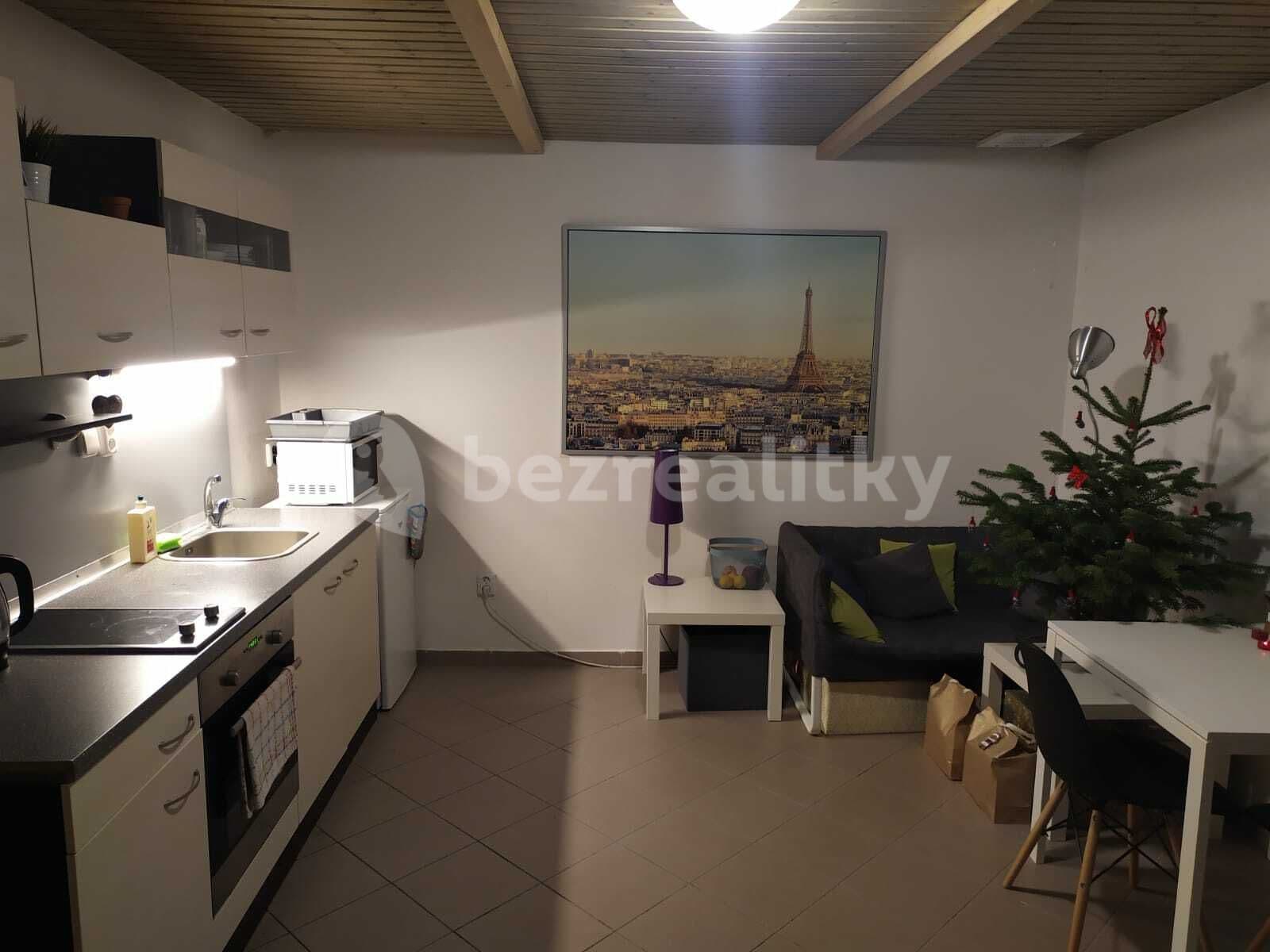 Pronájem bytu 1+1 30 m², Stará, Brno, Jihomoravský kraj Pronájem bytu 1+1 30 m², Stará, Brno, Jihomoravský kraj