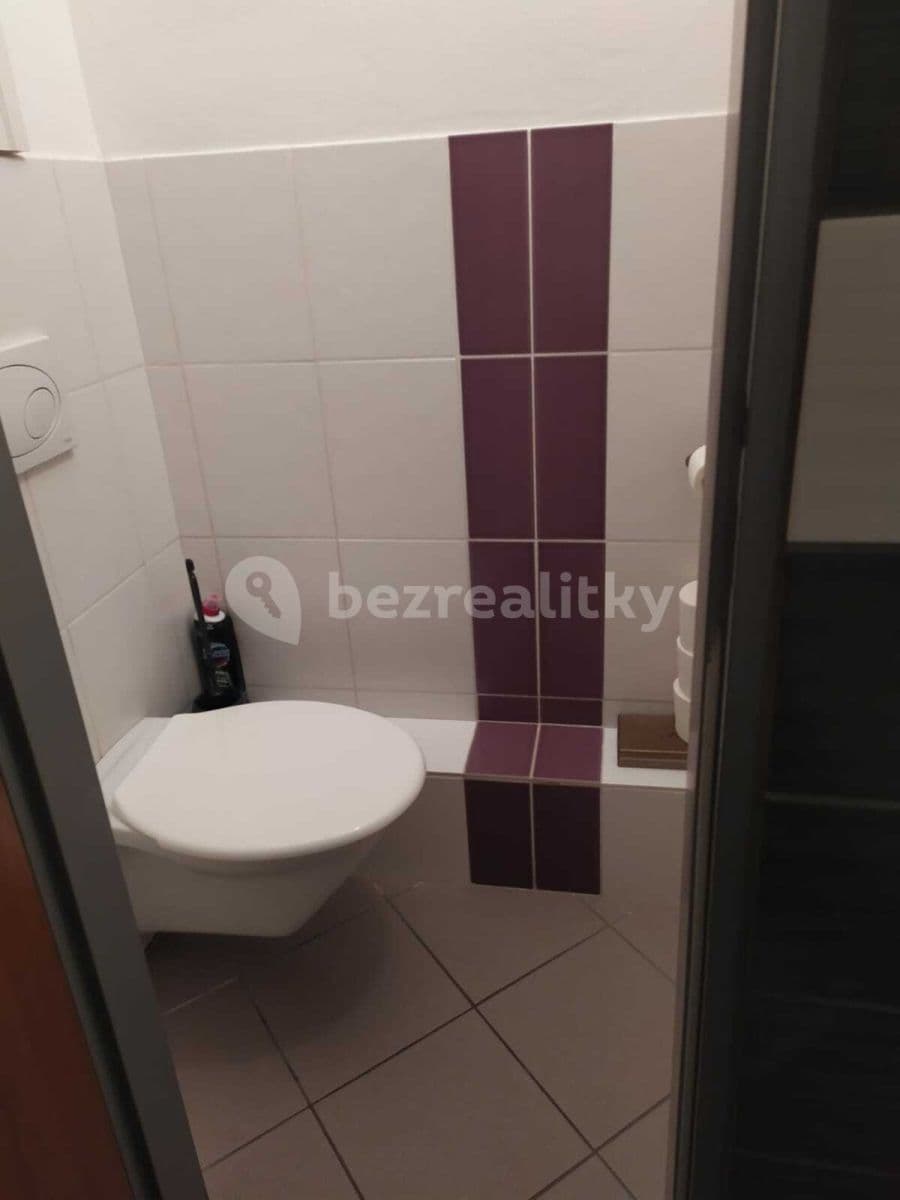 Pronájem bytu 1+1 30 m², Stará, Brno, Jihomoravský kraj Pronájem bytu 1+1 30 m², Stará, Brno, Jihomoravský kraj