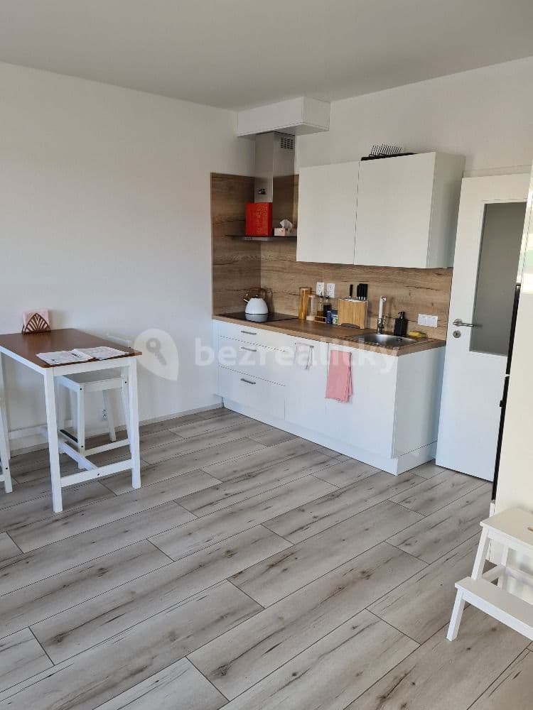Pronájem bytu 2+kk 55 m², Na Zlaté stoce, České Budějovice, Jihočeský kraj Pronájem bytu 2+kk 55 m², Na Zlaté stoce, České Budějovice, Jihočeský kraj