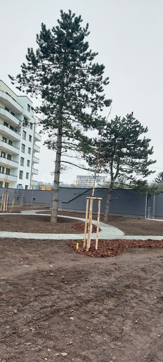 Pronájem bytu Garsoniéra 33 m², Šífařská, Praha, Praha Pronájem bytu Garsoniéra 33 m², Šífařská, Praha, Praha