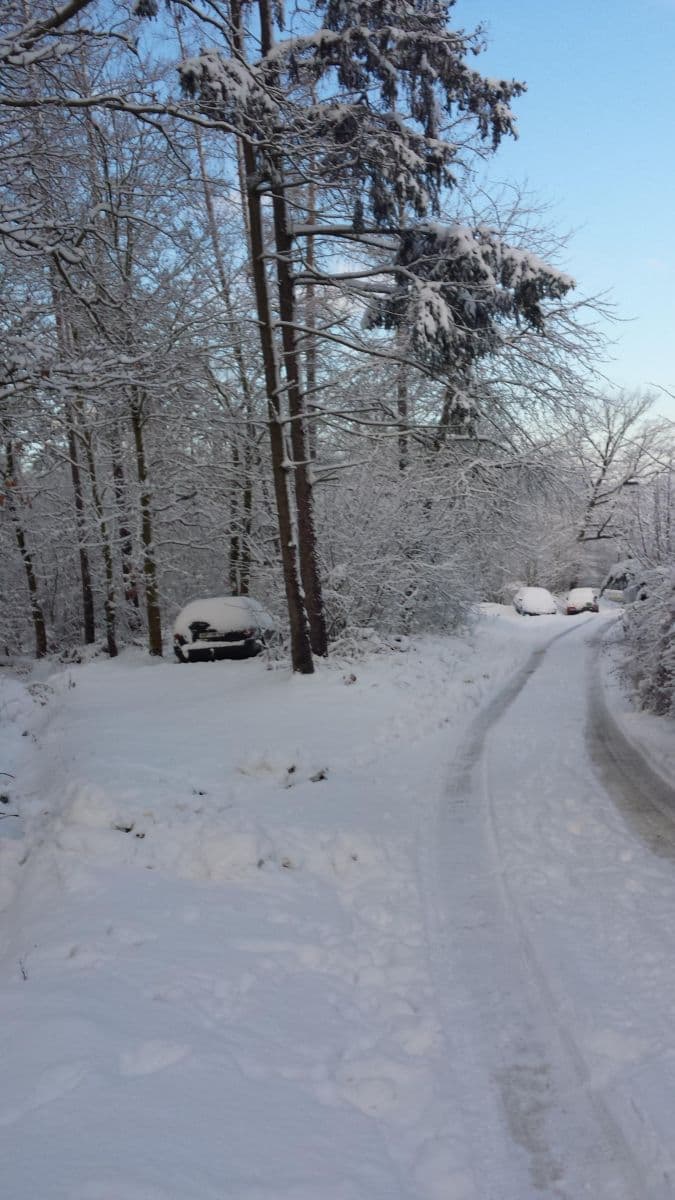 Pronájem chaty, chalupy 44 m², pozemek 250 m², K Údolí Hvězd, Praha, Praha Pronájem chaty, chalupy 44 m², pozemek 250 m², K Údolí Hvězd, Praha, Praha